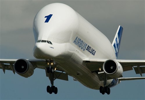 airbus-beluga.jpg.500×400.jpg