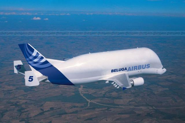 beluga-airbus.jpg